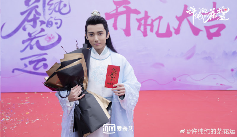 A Camellia Romance China Web Drama